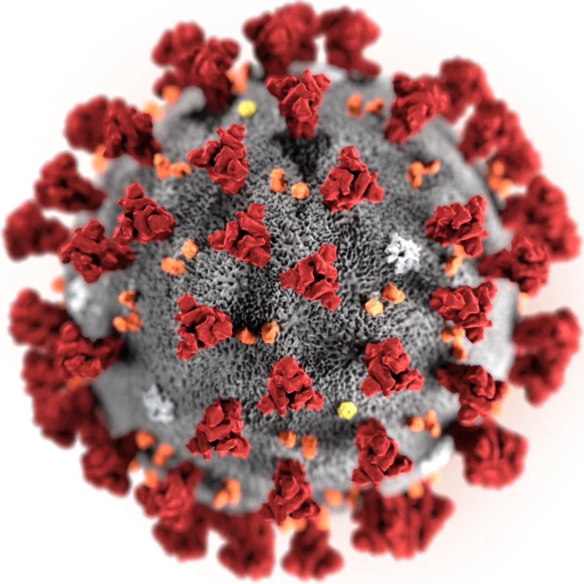 2019-nCoV-CDC-23312.png